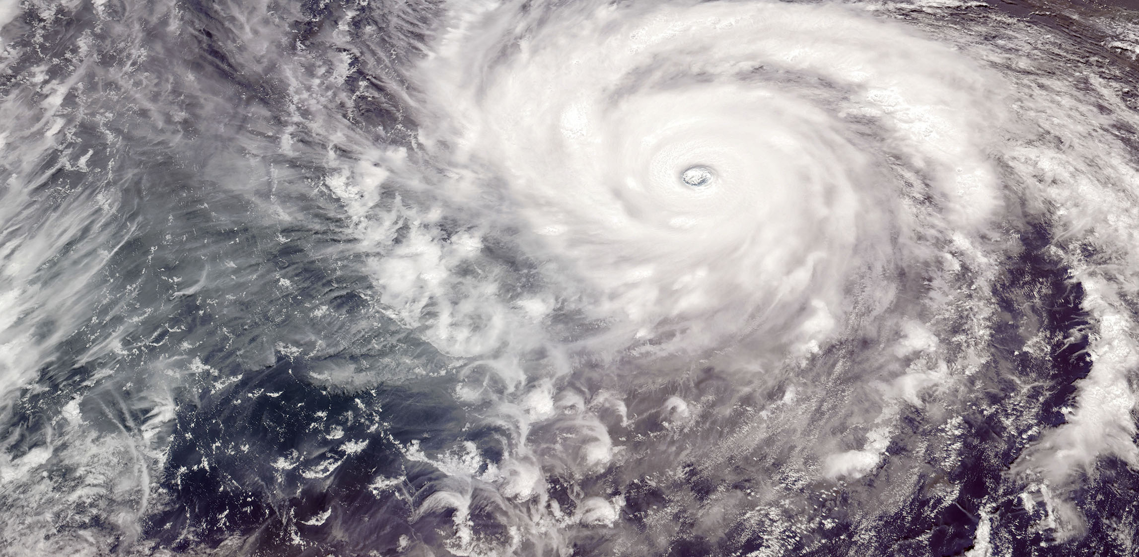 featured-news-the-weather-network